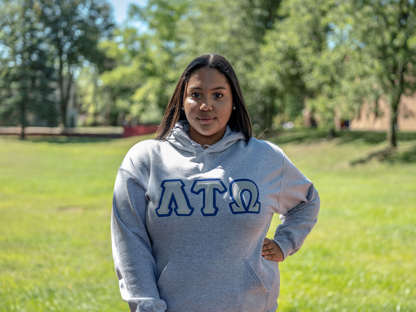 Lambda Tau Omega - Hoodie Grey